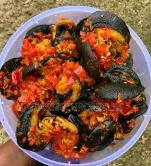 Peppered Snail